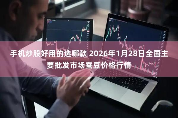 手机炒股好用的选哪款 2026年1月28日全国主要批发市场蚕豆价格行情
