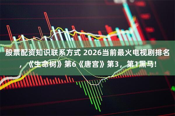 股票配资知识联系方式 2026当前最火电视剧排名,《生命树》第6《唐宫》第3,第1黑马!