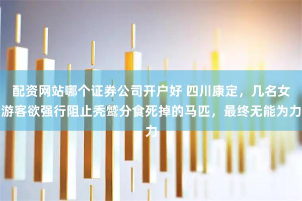 配资网站哪个证券公司开户好 四川康定,几名女游客欲强行阻止秃鹫分食死掉的马匹,最终无能为力